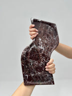 WAVE MULTIFUNCTIONAL TRAY